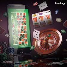 5666bet